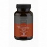 Terranova Hyaluronic Acid Complex 50 Capsules