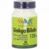 Vbyotics Ginkgo Biloba 60 mg 120 Kapseln