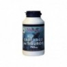 Vbyotics Shark Cartilage 800 mg 100 Capsules