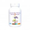 Sura Vitasan Lavendel Stress 30 Perlen 【ONLINE KAUFEN】