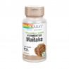 Solaray Maitake 500 mg 60 Gemüsekapseln
