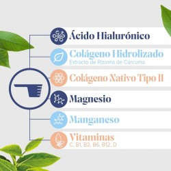 ARKOFLEX Colágeno DolExpert Sabor Laranja Duplo 2x390g