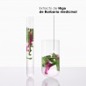 Klorane Après-Shampooing Figue de Barbarie 200 ml