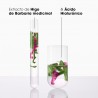 Klorane Barbaria Siero Reidratante al Fico 100 ml