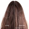 Klorane Barbaria Feigenshampoo 400 ml