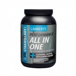 Lamberts All In One Frullato Al Gusto Di Fragola 1450g