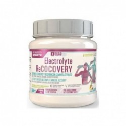 Marnys Electrolyte Recovery 450 g