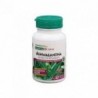 Natures Plus Radice di Ashwaganda 450 mg 60 capsule