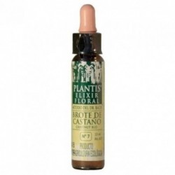 Artisanat Agricole Plantis Nº7 Bourgeon de Châtaignier 10 ml