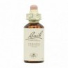 Bach Fiori di Bach originali 05 Cerato 20 ml