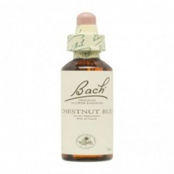 Bach Fiori di Bach originali 07 Bud di castagna 20 ml
