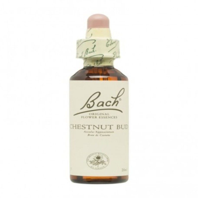 Bach Original Bach Flowers 07 Chestnut Bud 20 ml
