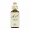 Bach Original Fiori di Bach 08 Cicoria 20 ml