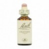 Bach Original Flores de Bach 14 Brezo 20 ml