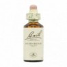 Bach Original Flores de Bach 17 Hojarazo 20 ml