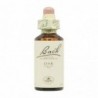 Bach Original Flores de Bach 22 Roble 20 ml