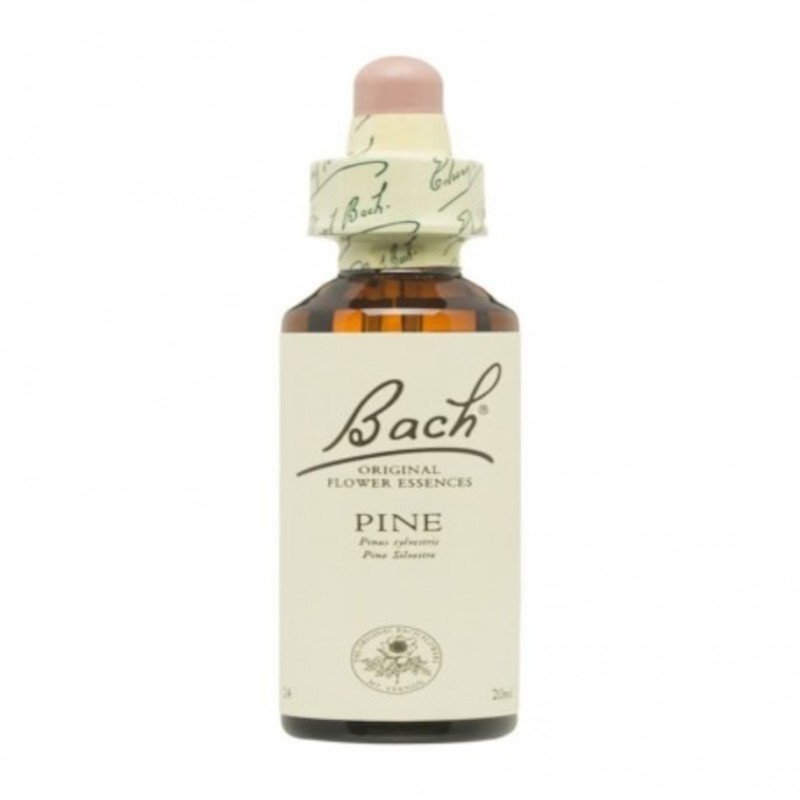 Bach Original Flores de Bach 24 Pino Silvestre 20 ml Bach Original Flores de Bach 24 Pino Silvestre 20 ml
