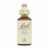 Bach Original Fleurs de Bach 24 Pin Sylvestre 20 ml