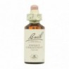 Bach Originali Fiori di Bach 30 Castagna Dolce 20 ml