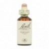 Bach Original Flores de Bach 31 Verbena 20 ml
