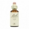 Bach Original Bach Flowers 32 Vid 20 ml