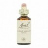 Bach Original Fleurs de Bach 34 Eau de Violette 20 ml