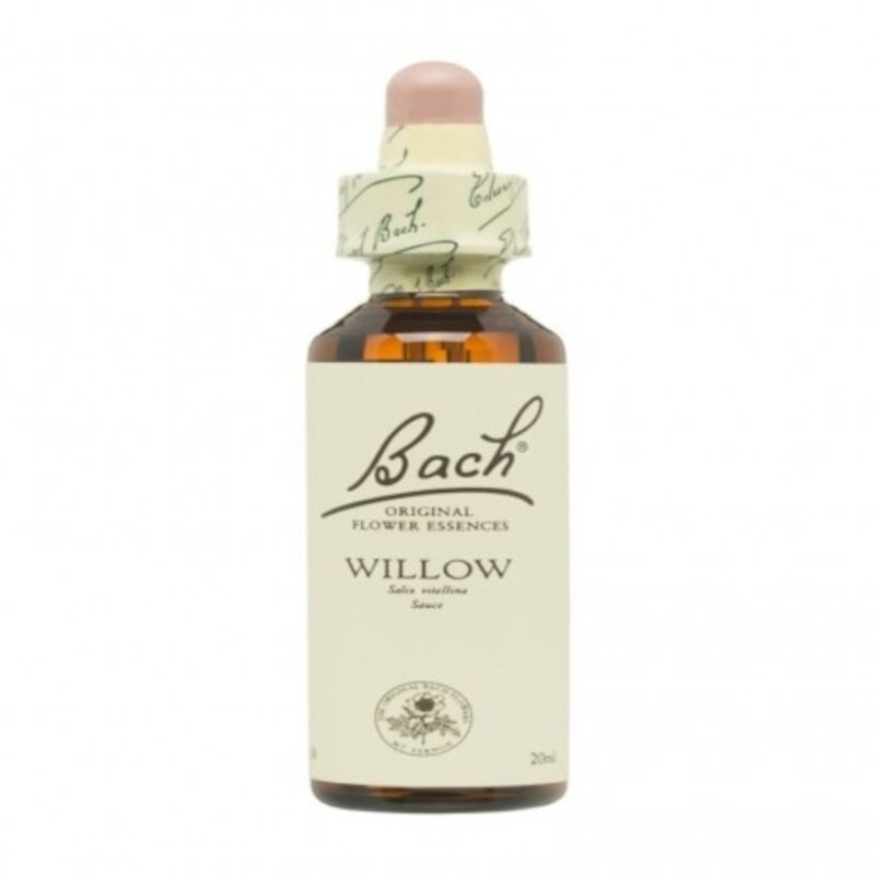 Bach Flores Originais de Bach 38 Salgueiro 20 ml Bach Flores Originais de Bach 38 Salgueiro 20 ml