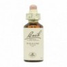 Bach Original Flores de Bach 38 Sauce 20 ml