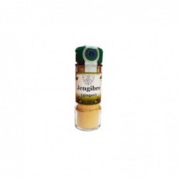 Biocop Condimento allo Zenzero 30 gr