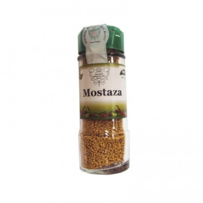 Biocop Condimento de Mostaza 60 g Biocop Condimento de Mostaza 60 g