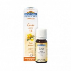 Biofloral Gorse - Gorse 13 (Strength and Will) Bio Bach Flowers Alcohol-Free Granules 9 gr