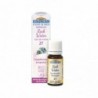 Biofloral Rock Water - Rock Water 27 (Compreensão e Aceitação) Bio Bach Flowers Grânulos Sem Álcool 9 gr