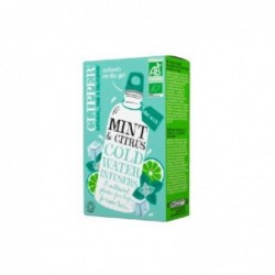 Cupper Kaltaufguss aus Minze und Zitrusfrüchten Bio 10 Beutel