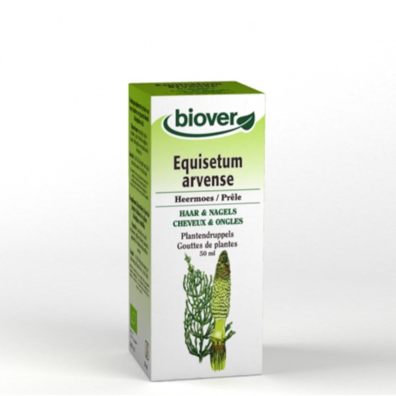 Biover Extrait de Prêle (Equisetum Arvense) Bio 50 ml Biover Extrait de Prêle (Equisetum Arvense) Bio 50 ml
