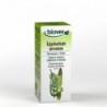 Biover Extracto Cola Caballo (Equisetum Arvense) Bio 50 ml