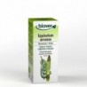 Biover Extrait de Prêle (Equisetum Arvense) Bio 50 ml