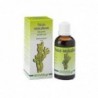 Biover Extracto Fucus (Fucus Vesiculosus) 50 ml