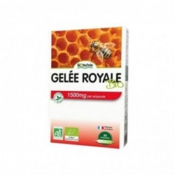 Biover Gelée Royale Biotechnie 20 Ampullen