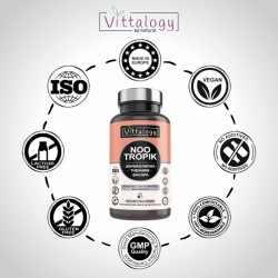 Vittalogy Vitaminas Memoria y Concentración Nootropik 60 Cápsulas