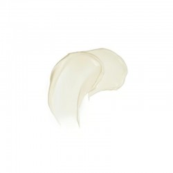WELEDA Crème de Nuit Redensifiante 40 ml