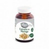 El Granero Extrait Intégral de Moringa 410 mg 60 Gélules