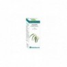 Equisalud Bio Essential Oils Eucalyptus Essential Oil 10 ml