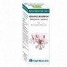 Equisalud Bio Ätherische Öle Geranium B. Ac. Ätherisch 10ml