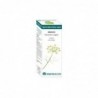 Equisalud Bio Essential Oils Fennel Essential Oil 10 ml