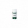 Equisalud Holofit Chlorella 50 Kapseln