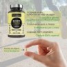Vittalogy Multivit Premium 2x120 Capsules