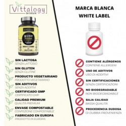 Vittalogy Multivit Premium 2x120 Cápsulas【PACK AHORRO】