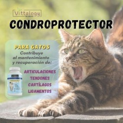 Vittalogy Chondroprotector Cat 2x120 Capsules