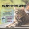 Vittalogy Chondroprotector Cat 2x120 Capsules