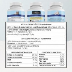 Vittalogy Chondroprotector for Cats 2x120 Capsules【SAVINGS PACK】